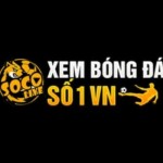 Socolive Trực Tiếp Bóng Đá Chất Lượng Cao Profile Picture