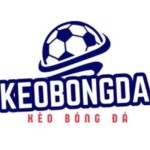 keobongda2net Profile Picture