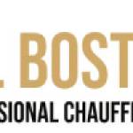 bnlboston limo Profile Picture