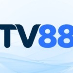 TV88 Profile Picture