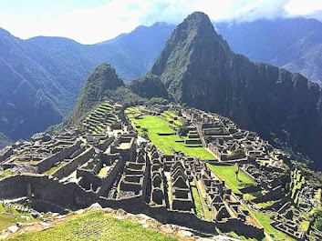 Peruvian Amazon Trips: Explore the Wild Beauty of the Amazon