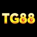 Tg88vip design Profile Picture
