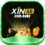 xin88com baby Profile Picture