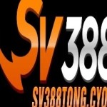 Cổng Game SV388 Profile Picture