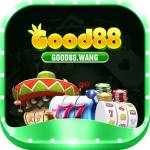 good88 wang Profile Picture