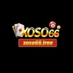 Xoso 66 Profile Picture