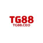Tg88 ceo Profile Picture