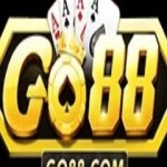 Go881 cc Profile Picture