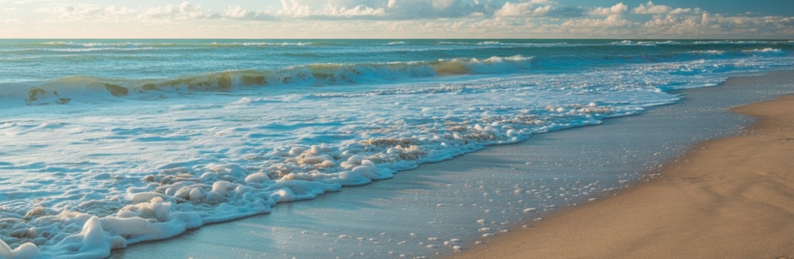 Seacoast Home Buyers Cover Image