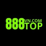 888Topvn com Profile Picture