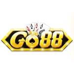 taigo88 team Profile Picture