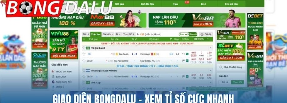 Bongdalufun Cover Image
