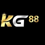 Kg88 jp net Profile Picture