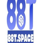 88T space Profile Picture