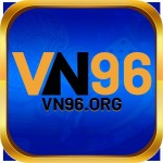 vn96 org Profile Picture