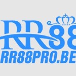 Nhà cái RR88 Profile Picture