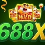 688X Profile Picture