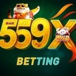 559X Profile Picture