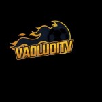 Vaoluoitv it com Profile Picture