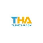 Nhà Cái THABET Profile Picture