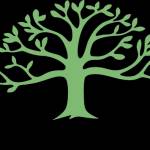 jagriti dham Profile Picture