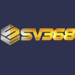 Sv368 Dealer Profile Picture