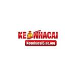 Kèo nhà cái 5 Profile Picture