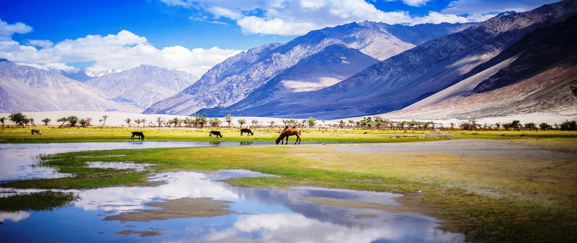 Khardung La – A Thrilling Ride on the World's Highest Roads