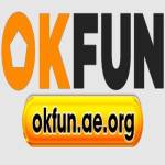 OKFUN aeorg Profile Picture
