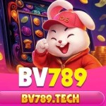 Bv789 tech Profile Picture