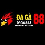 ĐÁ GÀ TRỰC TIẾP DAGA88 Profile Picture