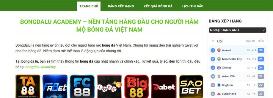 Bongdalu Academy Cover Image