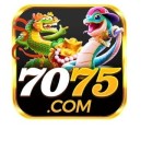 7075 bet Profile Picture