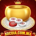 Xóc đĩa online Profile Picture