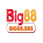 BIG88 Profile Picture