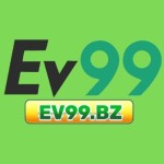 Ev99 bz Profile Picture