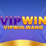 vipwin vipwin Profile Picture