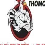 Đá gà trực tiếp Profile Picture