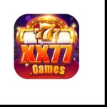 xx77 bet Profile Picture