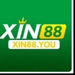 Xin88 you Profile Picture