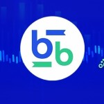 Bitbse Exchange Profile Picture