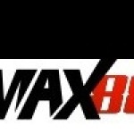max 88 Profile Picture