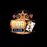 Hitclubx app Profile Picture