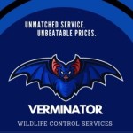 Verminator Wildlife Control Profile Picture