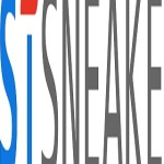 bstsneaker com Profile Picture