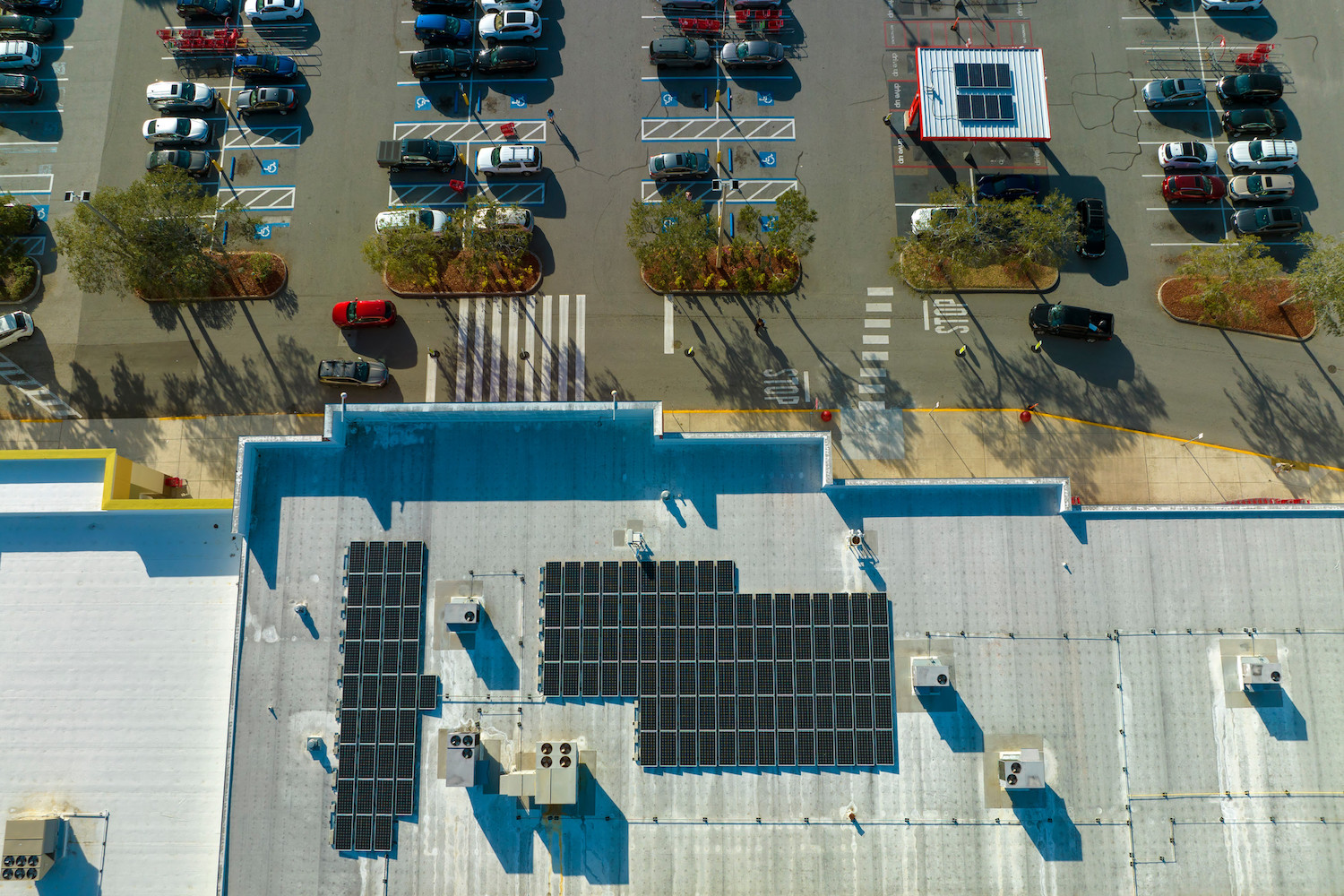 Solar for Small Businesses in Virginia