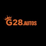 G28 AUTOS Profile Picture
