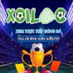 dabongtructiep xoilac86 Profile Picture