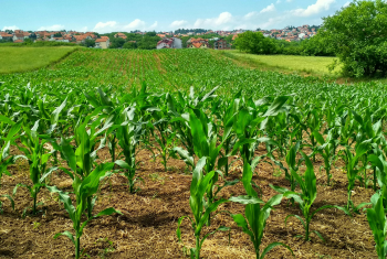 Wastewater Recycling Systems | Efficient Solutions | Biozone