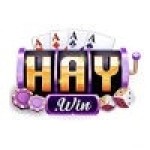 HAYWIN Nhà cái casino Profile Picture